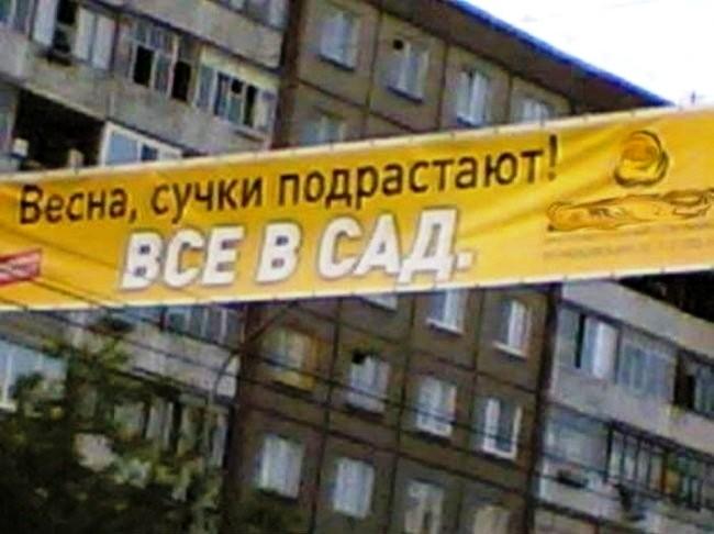 все в сад