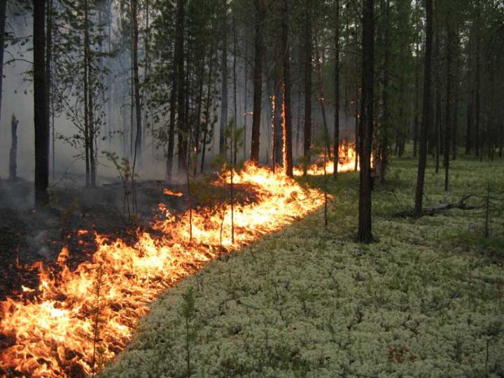 пожар