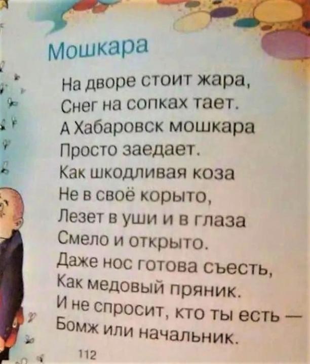 ДВ мошка