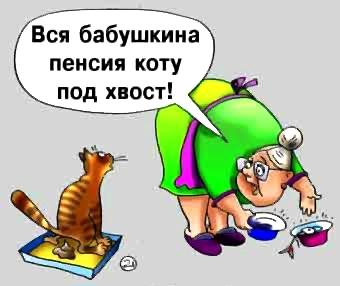 коту под хвост